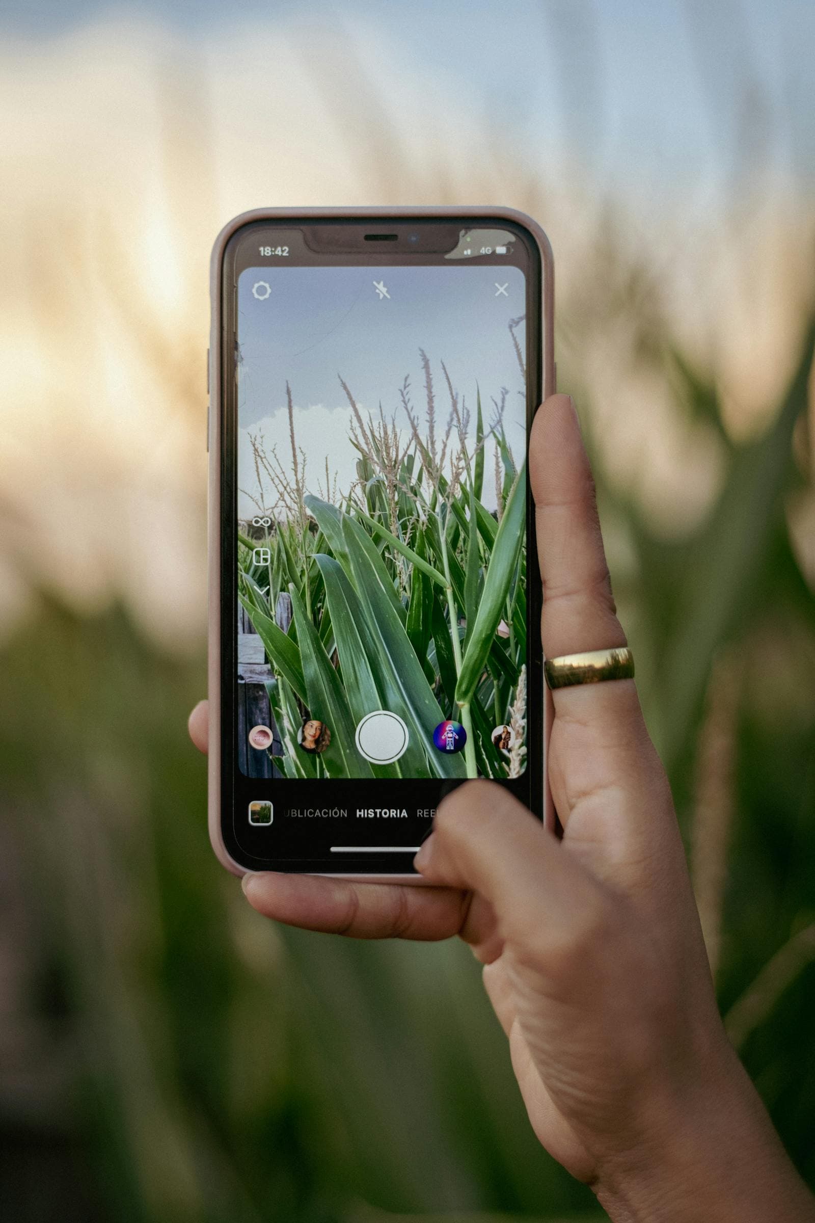 Smartphone used in a field for offline mobile farm record capture
