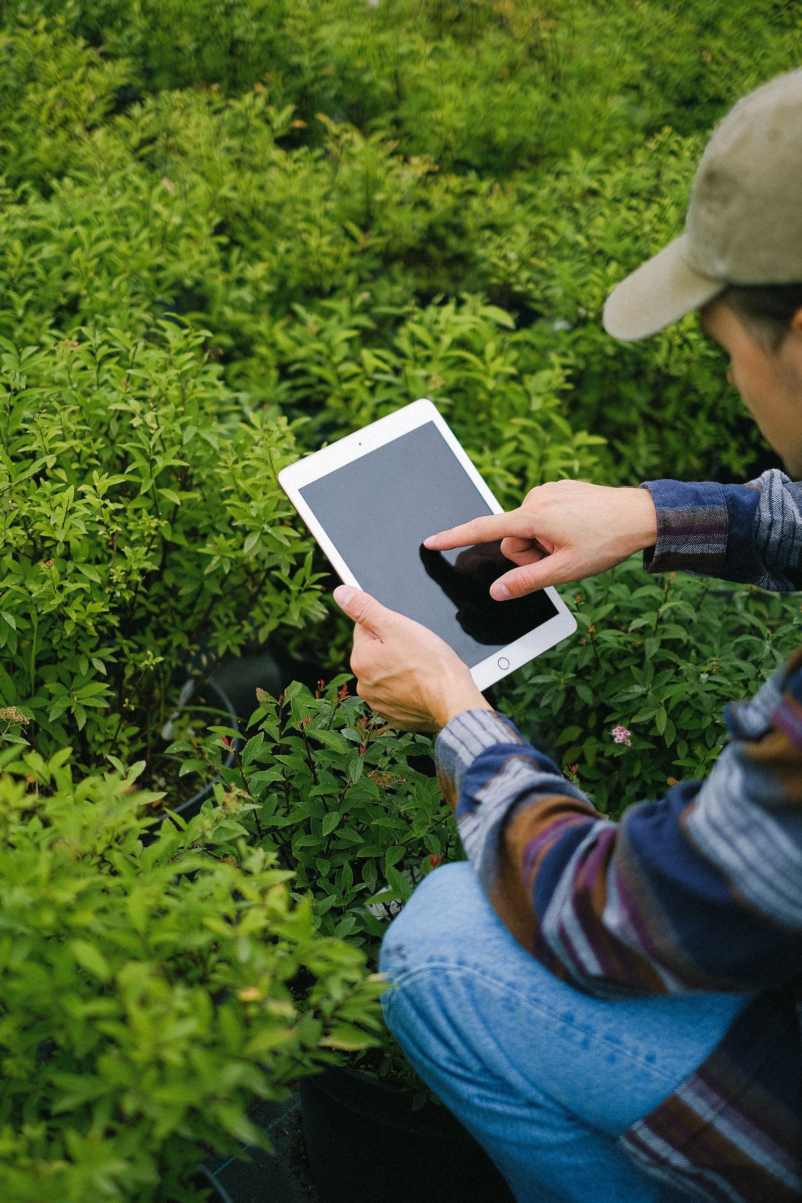 Farmer using a tablet in the field to replace paper farm records with digital records