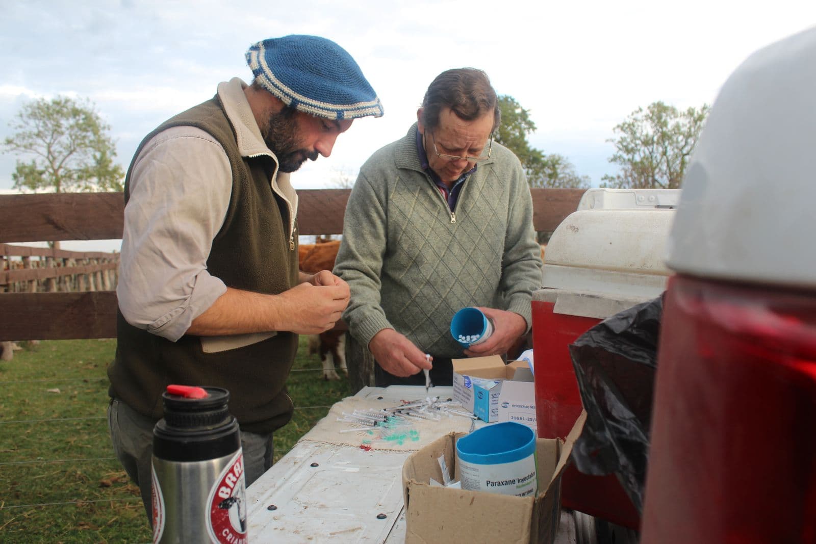 Farm workers preparing veterinary syringes and medicine for livestock vaccination records